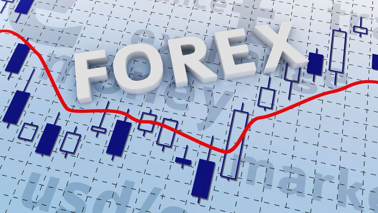 Beginner’s Guide to Forex Trading India